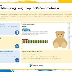 1M039A Master Measuring Length up to 30 Centimetres A