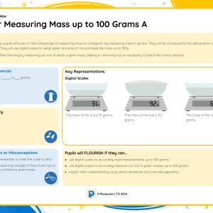 1M045A Master Measuring Mass up to 100 Grams A