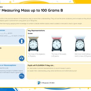 1M045B Master Measuring Mass up to 100 Grams B