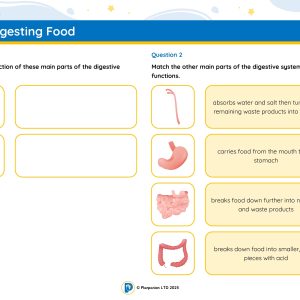 4S04AH Master Digesting Food