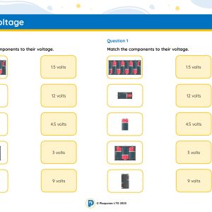6S03E Master Voltage