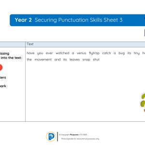 YR2 Securing Punctuation Skills Sheet 003