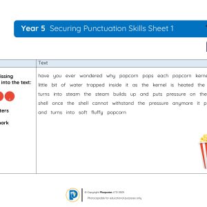 YR5 Securing Punctuation Skills Sheet 001