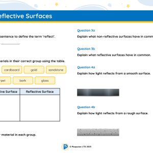 3S02L Master Reflective Surfaces